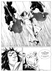 Lotus jumeaux - planche  146